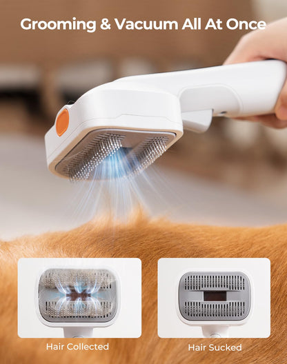BUTURE Pet vacuum cleaner PV01
