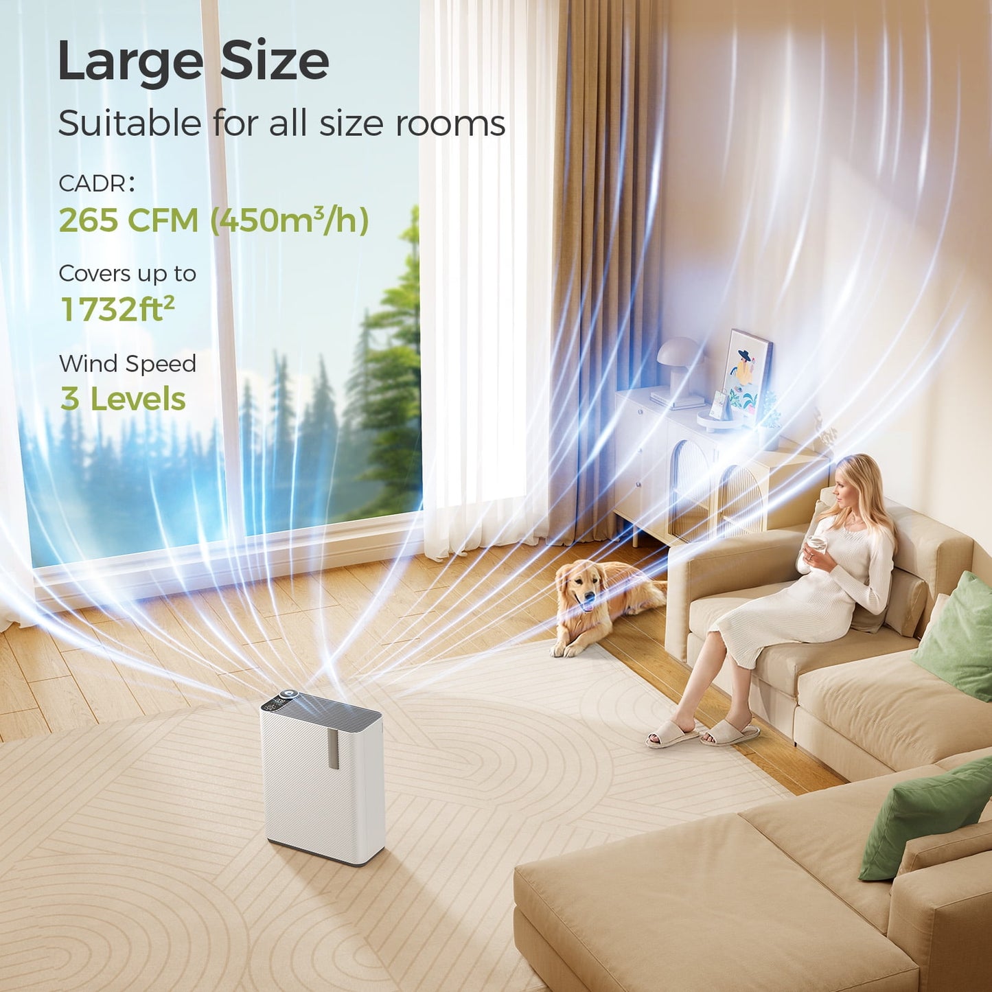 Dhyala KJ01 Air Purifier for Allergies and Asthma